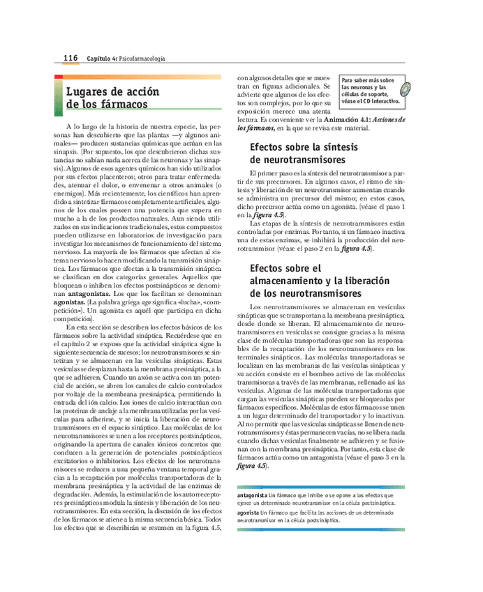 Miniatura del documento TEXTO-4.pdf