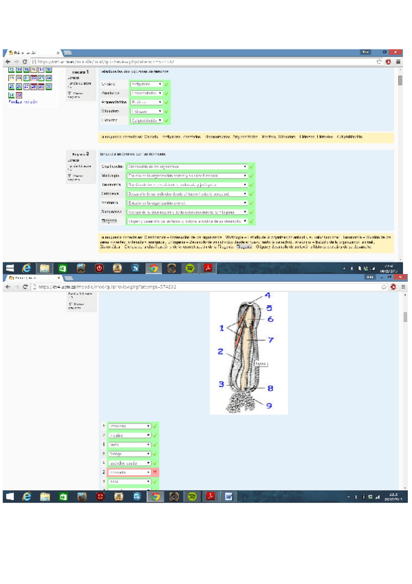 Miniatura del documento Examen resuelto Zoo.doc
