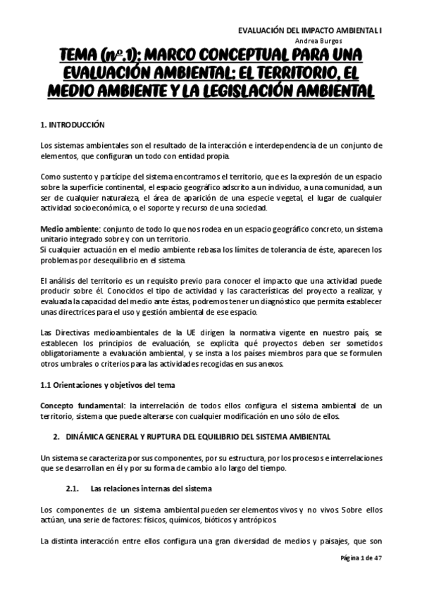 Miniatura del documento RESUMEN-EIA.pdf