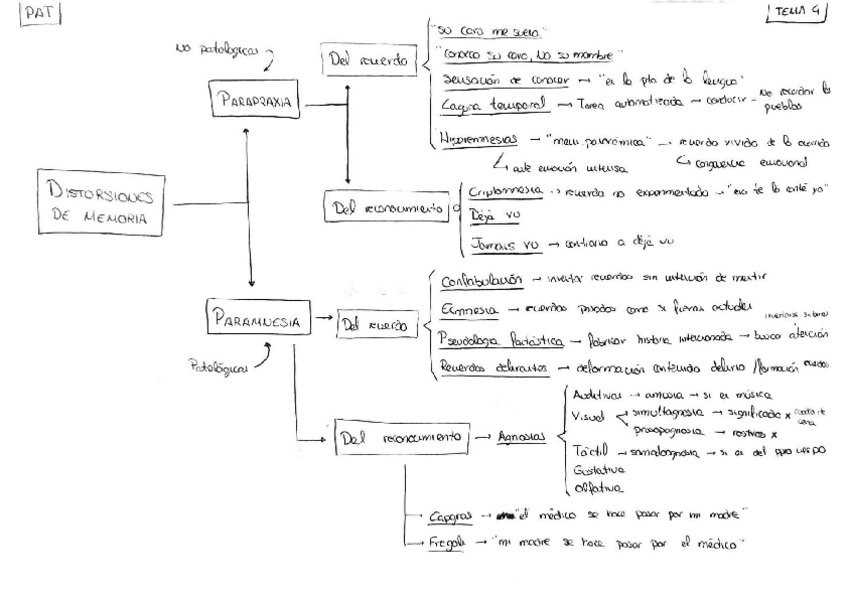 Miniatura del documento Esquema-distorsiones-de-memoria-Tema-4.pdf