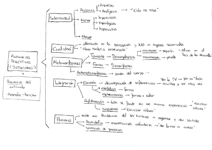 Miniatura del documento Esquema-distorsionesenganos-y-alucinaciones-Tema-3.pdf