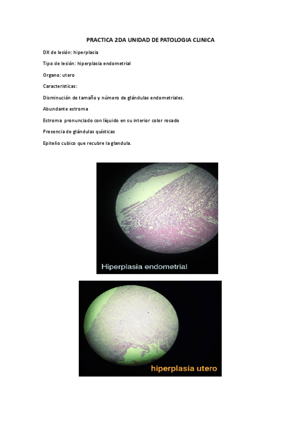 Miniatura del documento PracticaExamenUnidad-2.pdf