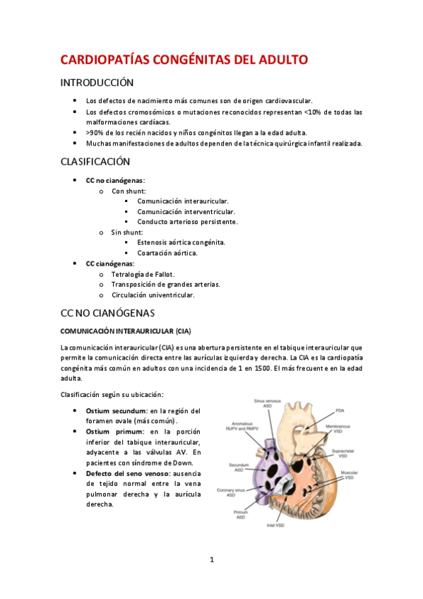 Miniatura del documento CARDIOPATIAS-CONGENITAS-DEL-ADULTO.pdf