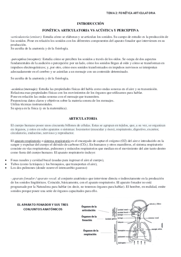 Miniatura del documento tema-2-fonetica-articulatoria.pdf