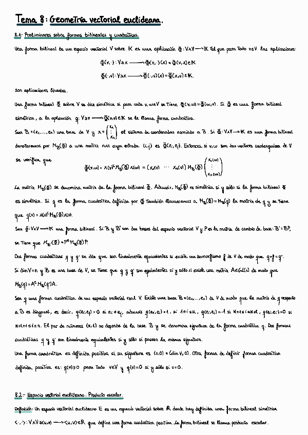 Miniatura del documento apuntes-geometrias-lineales-temas-8-12.pdf