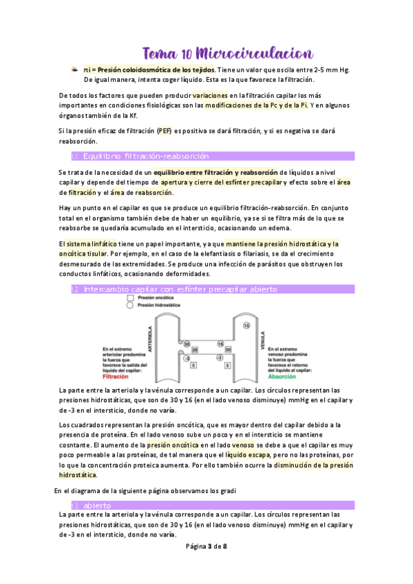 Miniatura del documento Tema-10-Microcirculacion.pdf