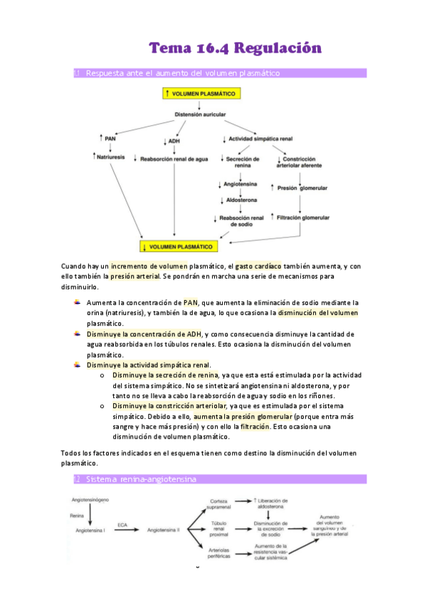 Miniatura del documento Tema-16.pdf
