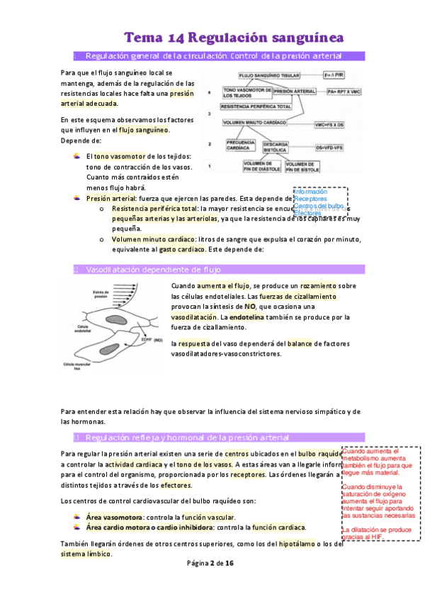 Miniatura del documento Tema-14-Regulacion-sanguinea.pdf