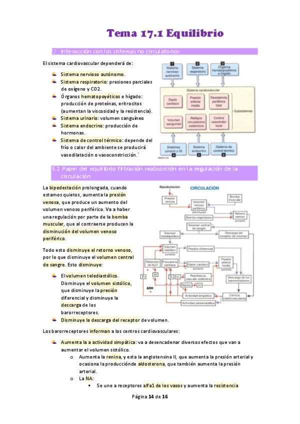 Miniatura del documento Tema-17.pdf