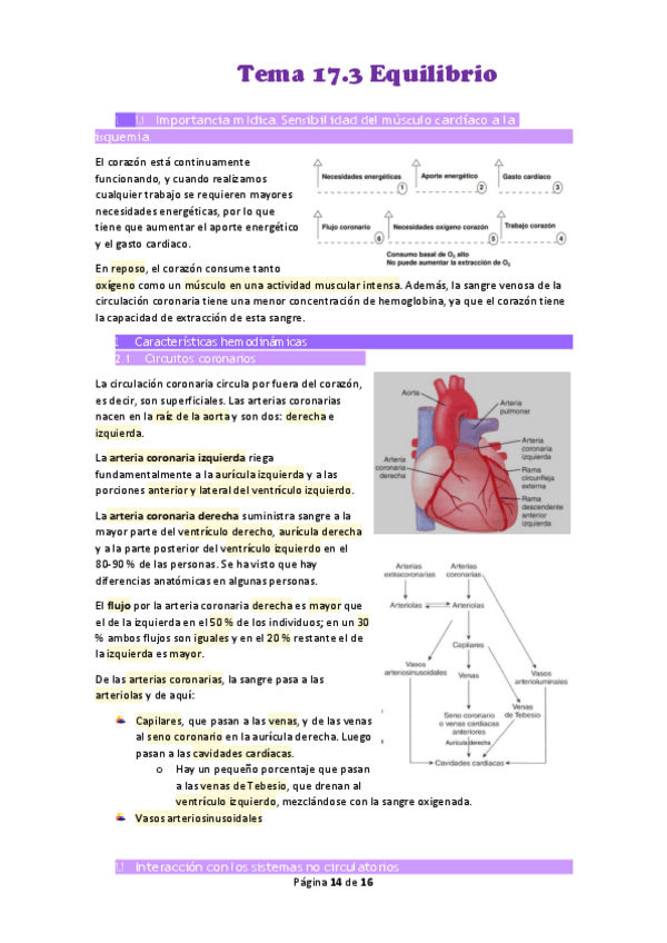 Miniatura del documento Tema-17.pdf