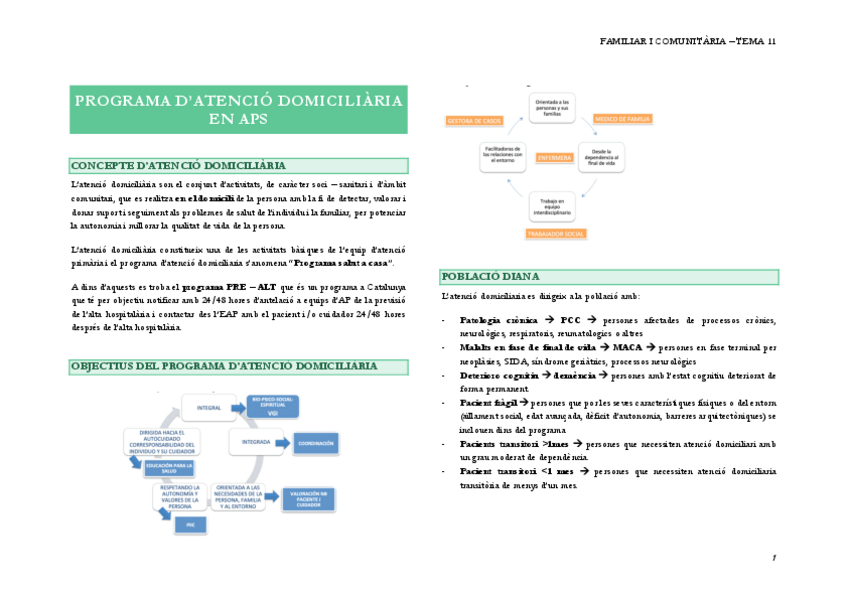 Miniatura del documento 11.-PROGRAMA-DATENCIO-DOMICILIARIA-EN-APS.pdf