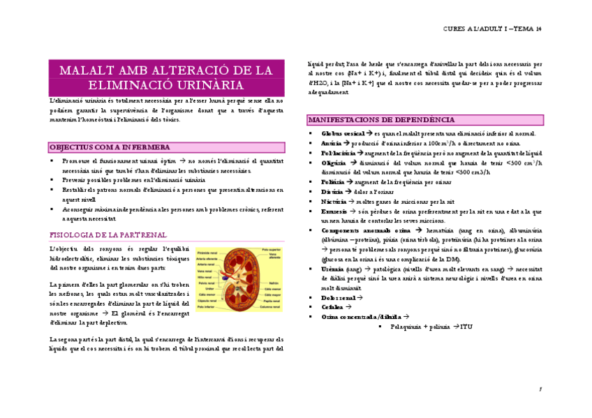 Miniatura del documento 15.-MALALT-AMB-ALTERACIO-DE-LA-ELIMINACIO-URINARIA.pdf