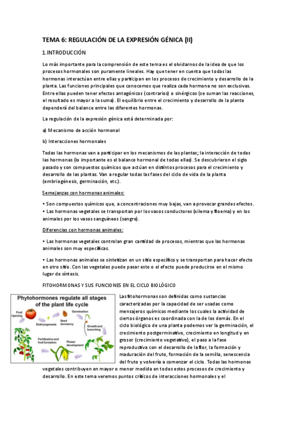 Miniatura del documento TEMA-6-BIOTECNOLOGIA.pdf