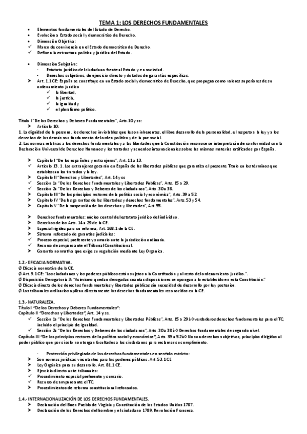 Miniatura del documento TEMA-1.-LOS-DERECHOS-FUNDAMENTALES.pdf