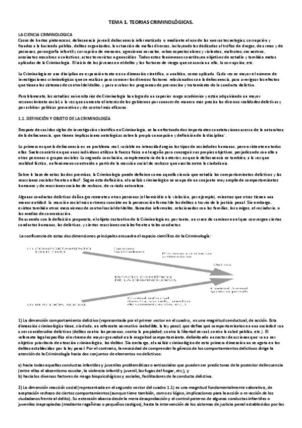 Miniatura del documento TEMA-1-TEORIAS.pdf