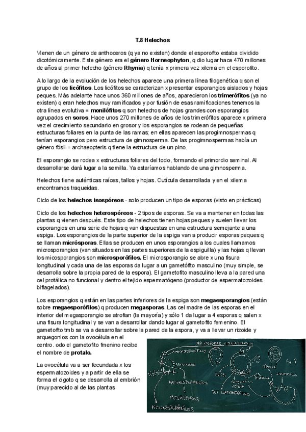 Miniatura del documento Tema-8-Botanica.pdf