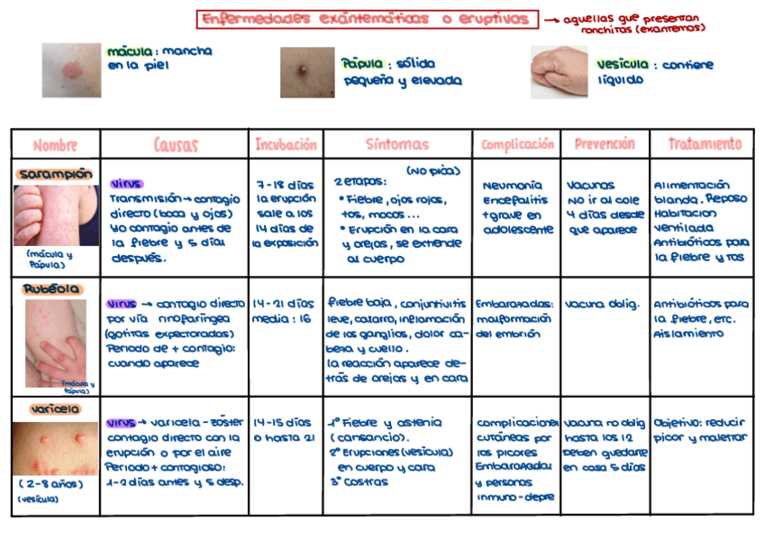 Miniatura del documento Enfermedades-tema-7.pdf