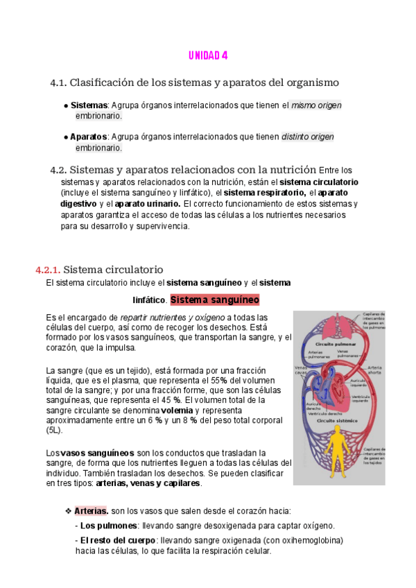 Miniatura del documento Sistemas-y-aparatos.pdf