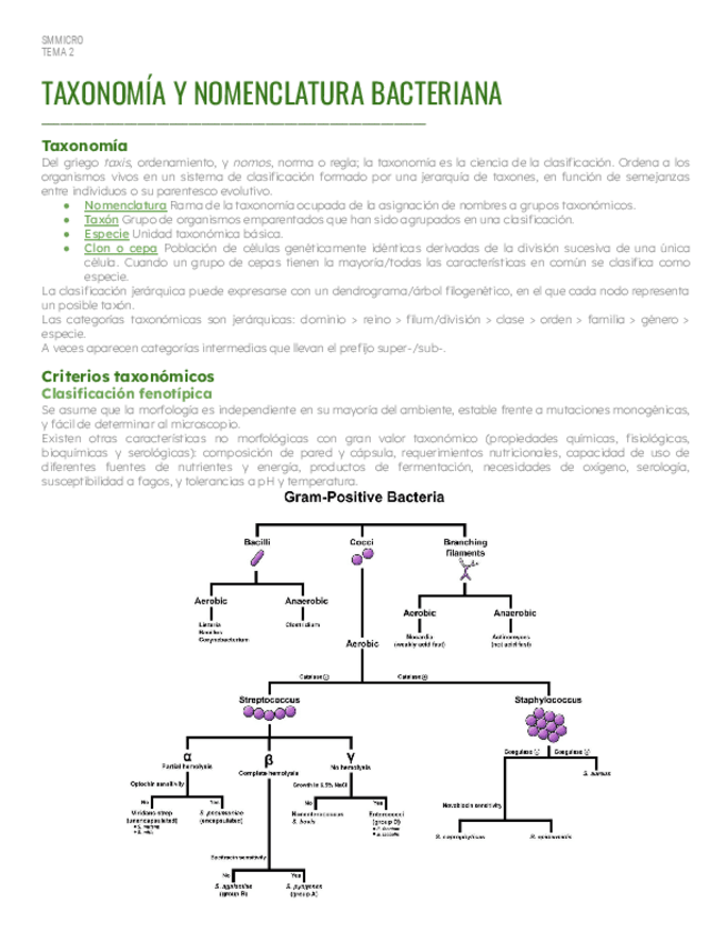 Miniatura del documento SM-Tema-2-Taxonomia-y-nomenclatura-bacteriana.pdf