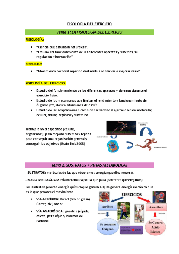 Miniatura del documento Teoria-FISIOLOGIA-del-ejercicio-1oParcial.pdf