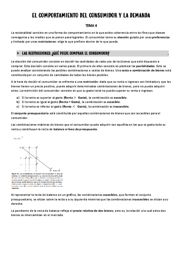 Miniatura del documento TEMA-4.pdf