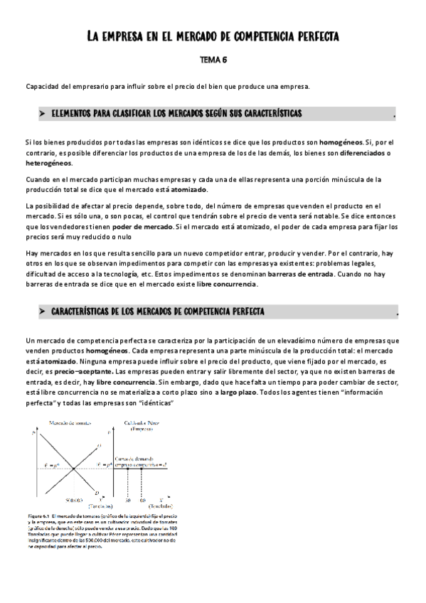 Miniatura del documento TEMA-6.pdf