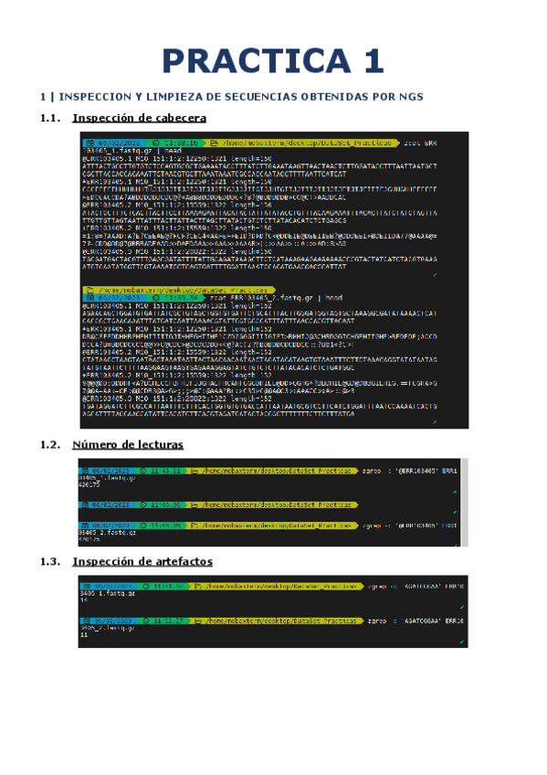 Miniatura del documento PRACTICA-1.pdf