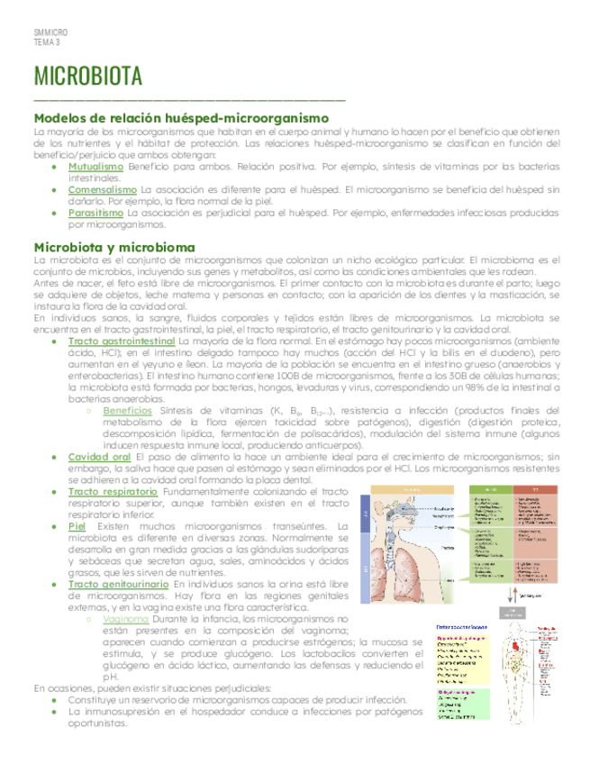 Miniatura del documento SM-Tema-3-Microbiota.pdf