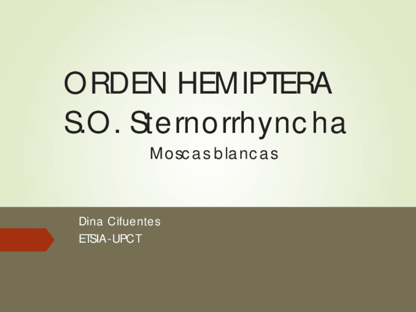 Miniatura del documento PDF-expo-MOSCAS-BLANCAS-2022.pdf