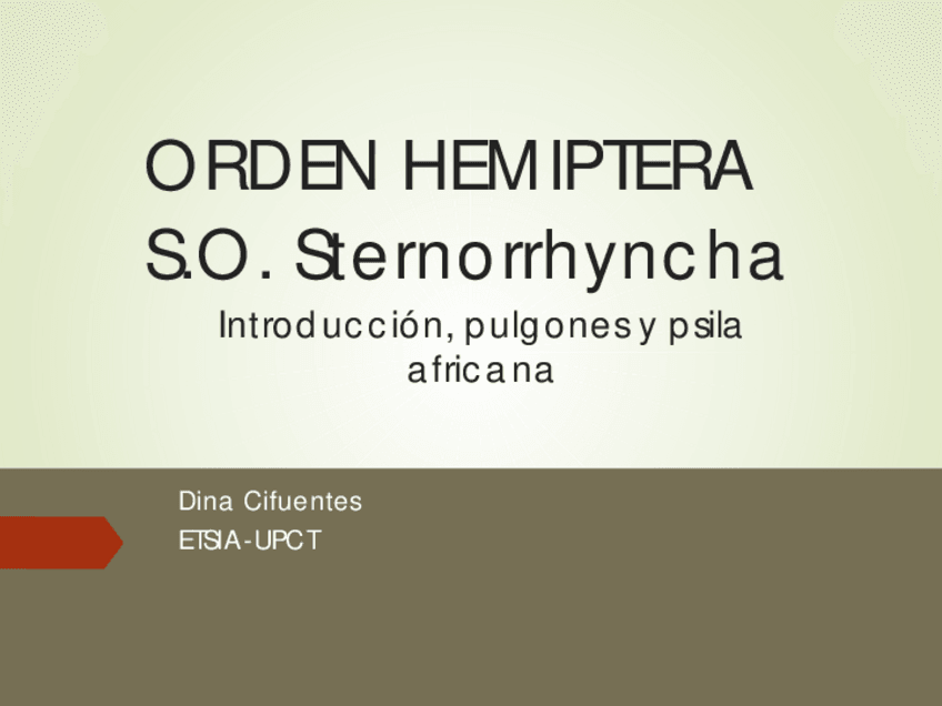 Miniatura del documento PDF-expo-HEMIPTERA-2022.pdf