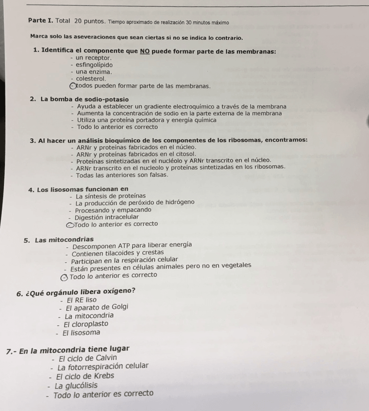 Miniatura del documento C0C99415-C911-4561-8674-461D95F944F3.jpeg