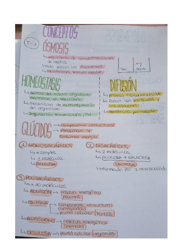 Miniatura del documento conceptos.pdf