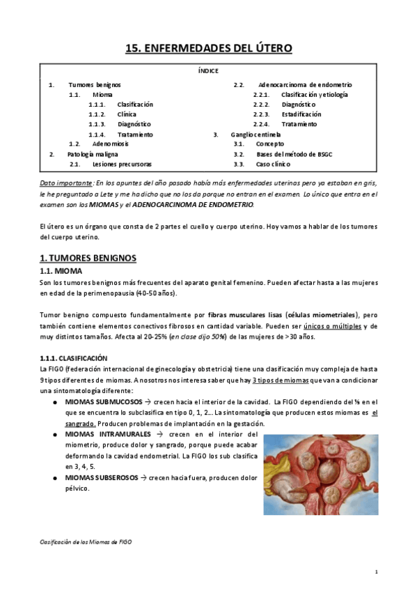 Miniatura del documento 15.pdf