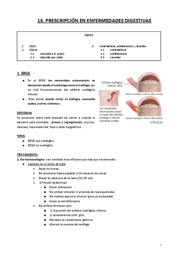 Miniatura del documento 13.pdf