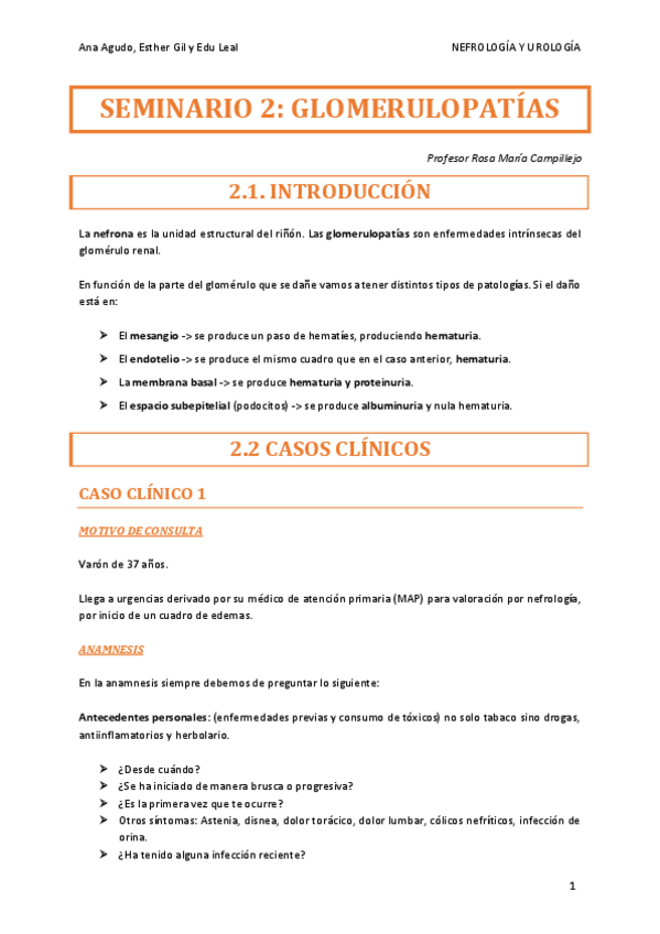 Miniatura del documento SEMINARIO-2-GLOMERULOPATIAS.pdf