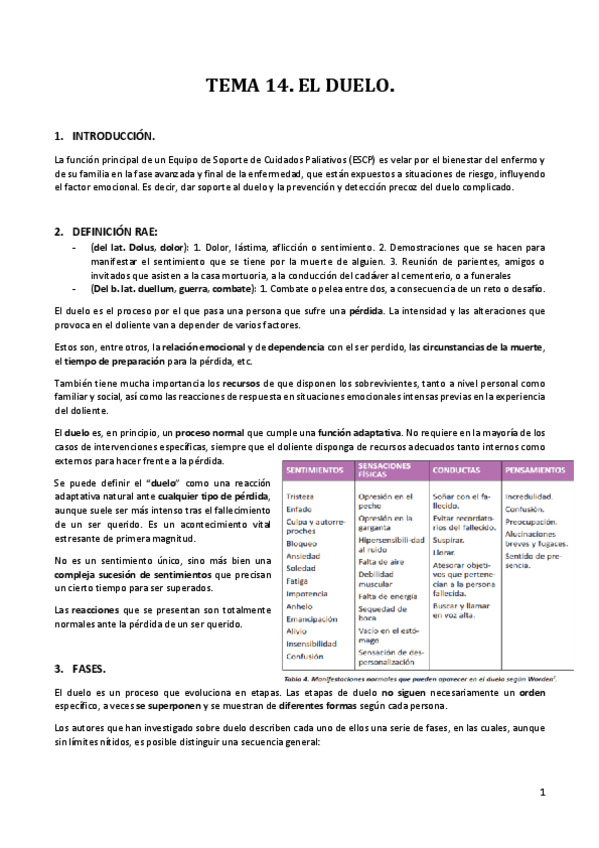 Miniatura del documento TEMA-14.-EL-DUELO.pdf
