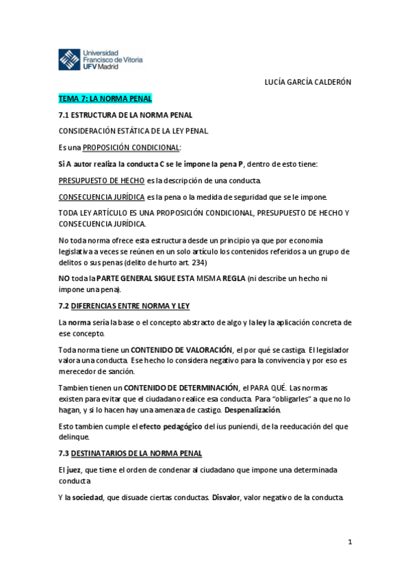 Miniatura del documento TEMA-7-LA-NORMA-PENAL.pdf