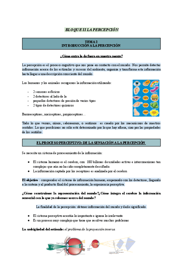 Miniatura del documento T2-Atencion-Percepcion-y-Motivacion.pdf