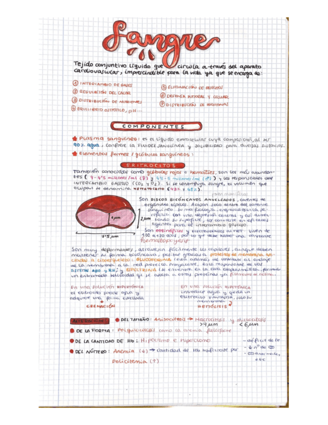 Miniatura del documento HistologiaT11-16.pdf