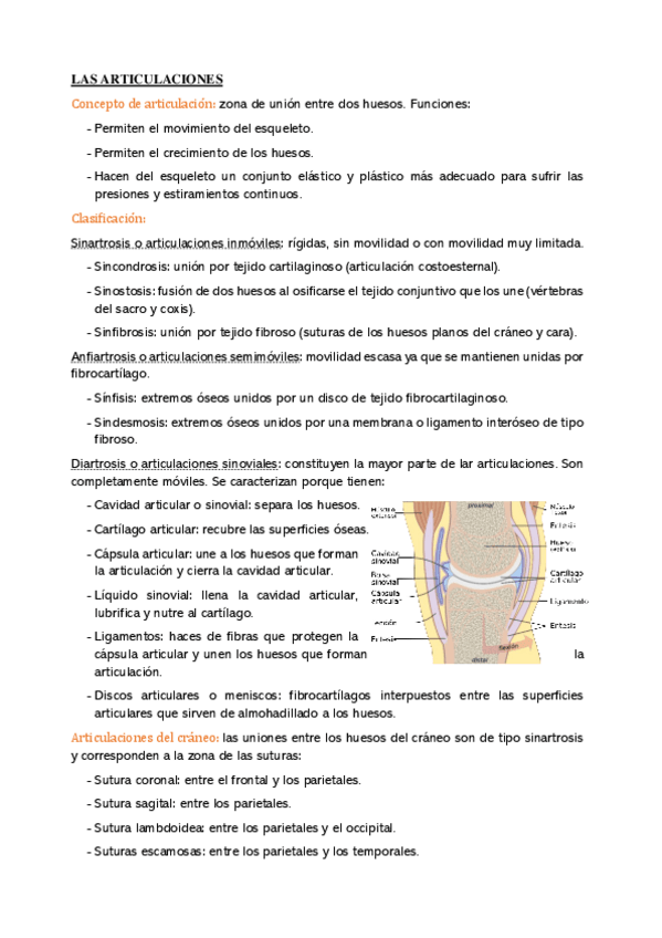 Miniatura del documento tema-3-parte-2.pdf