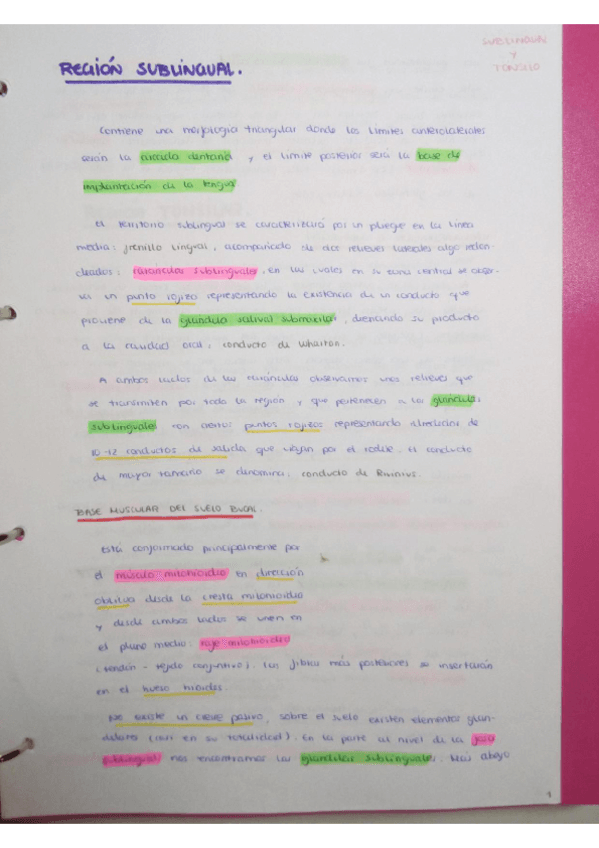 Miniatura del documento REGION SUBLINGUAL Y REGION TONSILAR.pdf