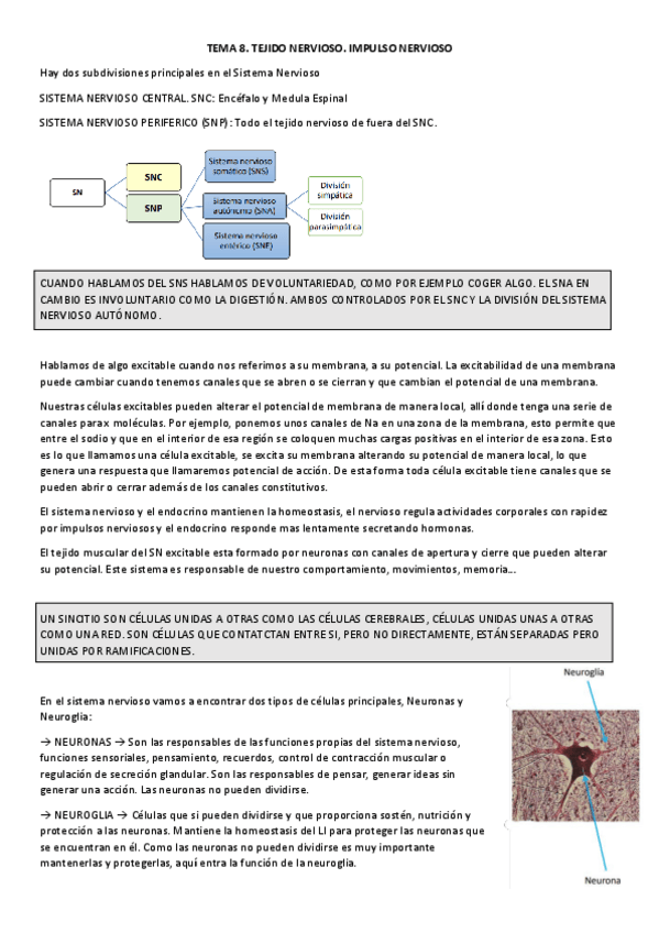 Miniatura del documento TEMA-8.1-EyF.pdf