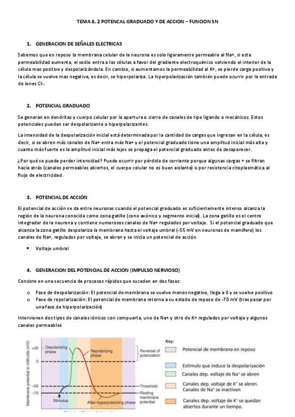 Miniatura del documento TEMA-8.2-EyF.pdf