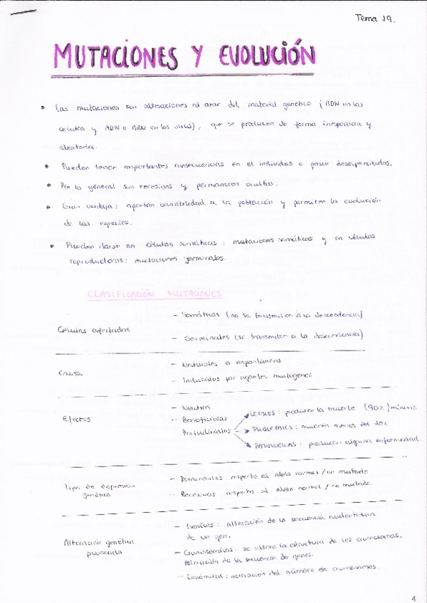Miniatura del documento 19- Mutaciones y evolución.pdf