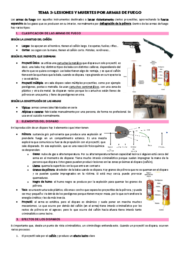 Miniatura del documento TEMA-3-ARMAS-DE-FUEGO.pdf
