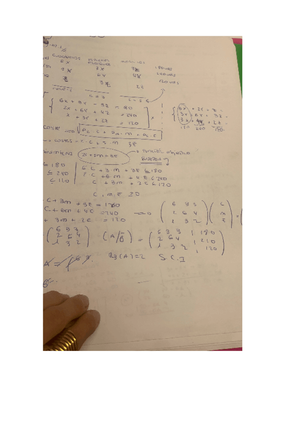 Miniatura del documento entrega1.docx