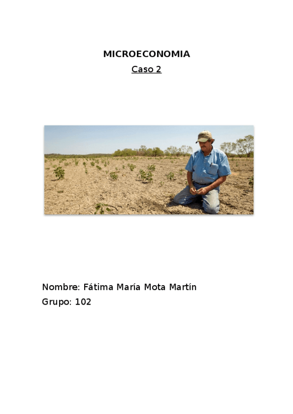 Miniatura del documento proyectomicroeconomia.docx