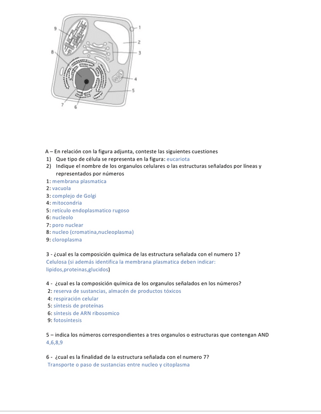 Miniatura del documento EF22EB72-9A82-46AA-A5C0-B0CBB747350D.jpeg
