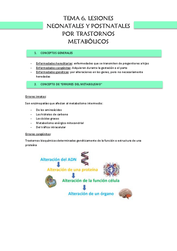 Miniatura del documento TEMA-6.-PAT-DESARROLLO.pdf