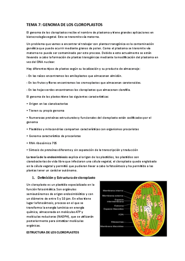 Miniatura del documento TEMA-7-BIOTECVEGETAL.pdf